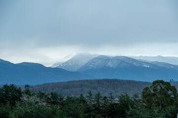 mountain landscape with snowy peaks in fog. foreground forest