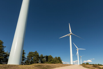 Wind farm, modern windmills on a bright and sunny day