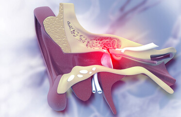 The anatomical structure of the human ear, sound wave and ear with middle ear, otitis, auditory canal, auditory canal and cochlea nerve, 3d illustration © Crystal light