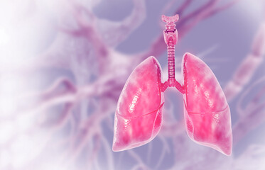 3D illustration of human Lungs on scientific background