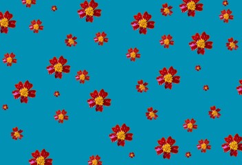 Background for the design. Red and yellow flowers on a blue background. Repeating flowers, pattern.