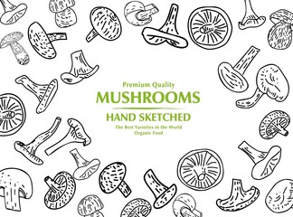 Mushrooms. Hand drawn illustration. Pieces of Mushrooms design template. Engraved design. Great for package design. Vector illustration.