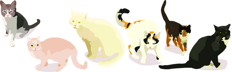 Vector cat breeds. Domestic cats. For printing on fabric.