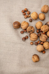 Walnuts and hazelnuts on light textile background