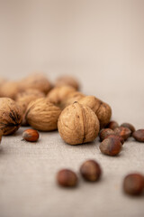 Walnuts and hazelnuts on light textile background