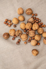 Walnuts and hazelnuts on light textile background