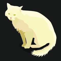 Vector drawing of a cat. For print. A beautiful cat.