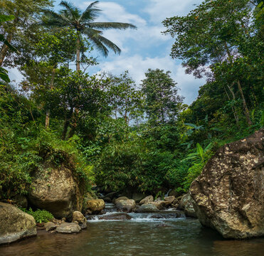 river in the jungle