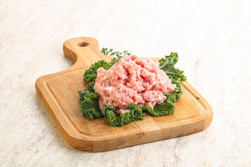 Raw pork minced meat for cooking