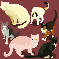 Vector cat breeds. Domestic cats. For printing on fabric.