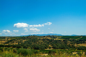 Fototapeta na wymiar Viñedos del área de cultivo del Somontano con D.O. del mismo nombre, que tiene como centro la localidad de Barbastro, Huesca, Aragón.