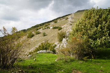 Fototapeta na wymiar Vista dal piano delle ortiche sul Monte Catria in autunno