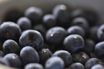 blueberries in a plate on the table background
