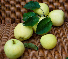 Green apples (white filling) in a basket