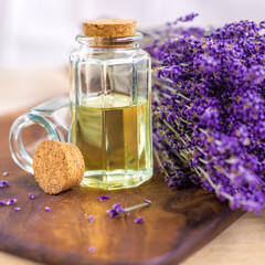 lavender oil and lavender
