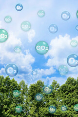 Tree canopy against a sky background with oxygen O2 and carbon dioxide CO2 molecules - Carbon...