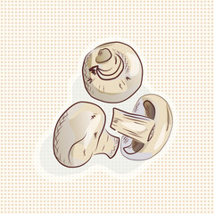 Champignon mushroom vector illustration
