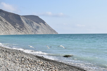 Types of the Black Sea. The outskirts of Anapa. Mountains and rocks, pebble beach, seagulls.	