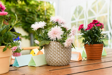 Wooden table with flowers and name cards