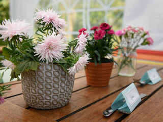 Wooden table with flowers and name cards