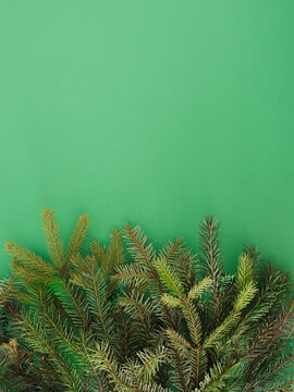 Christmas tree creative copy space. Winter background made with natural fir branches. Evergreen flat lay.