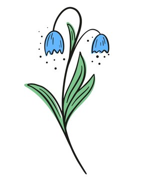 Graceful beautiful flower blue bells line art, vector illustration. Contour image of a cute handmade wild flower. Black outline and colored spots, botanical decoration.
