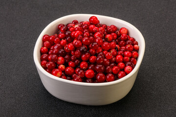 Sweet and tasty cranberry in the bowl