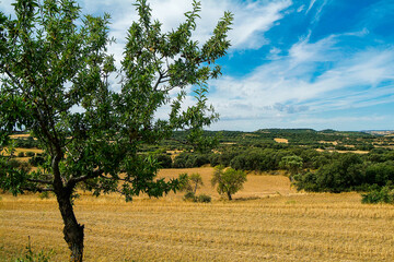 Paisaje rural de la comarca del Somontano, Huesca