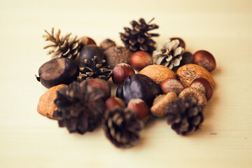 Autumn composition with nuts, chestnuts, wallut shells and pine cones on wooden background, flat lay, top view