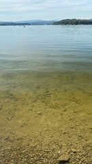 Lake Solinskie visible green water and floating fish large carp