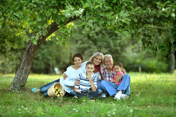 Fototapeta premium happy family with children in park