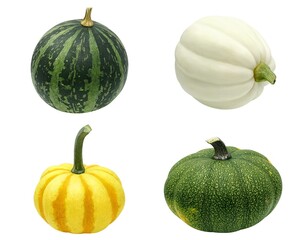 かぼちゃ ハロウィン おもちゃかぼちゃ イラスト リアル 単体