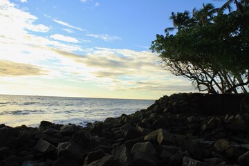 Sunset from beach with silhouette of trees and rocks under golden blue sky