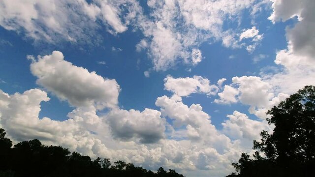carolina blue air max
