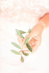 Olive Inspired Mediterranean Garden Wedding 
