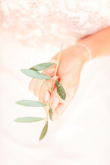 Olive Inspired Mediterranean Garden Wedding 