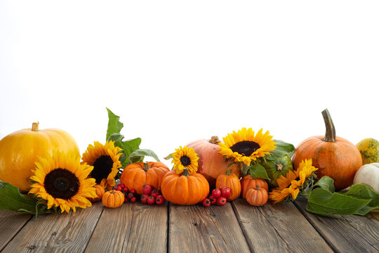 Thanksgiving pumpkins with flowers, autumn leaves and berries on wooden table. Autumn background.