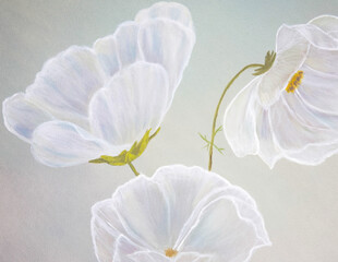Abstract white flower with delicate shades of color painted with oil paints on canvas - 461672830