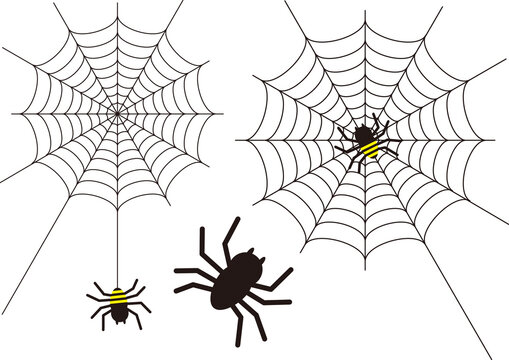 10_Halloween spider and spider web set