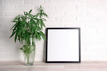 Cannabis plant in a vase with blank photo frame on a white brick wall. Copy space for text.