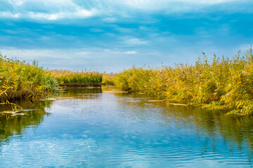 Calm wide river, fishing landscape. Reeds and kugai along the river bank. Tranquil pond landscape, beautiful nature.