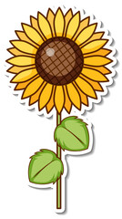 Sticker design with a sunflower isolated