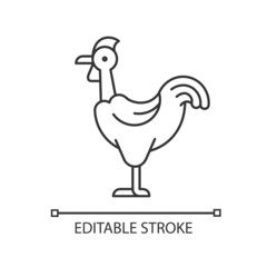 Transylvanian chicken linear icon. Naked neck chicken. Featherless neck bird. Poultry farming. Thin line customizable illustration. Contour symbol. Vector isolated outline drawing. Editable stroke