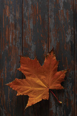 Autumn leaves on rustic wooden table banner. Maple leaf. Flat lay, top view, copy space. Autumn concept.