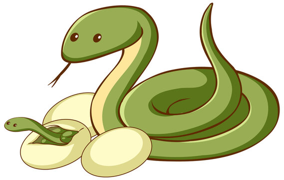 Green snake with eggs animal cartoon on white background