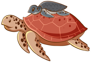 Big and small sea turtles animal cartoon on white background