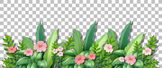 Flower bush with leaves on transparent background