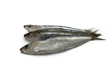 Three fresh sardines on a perfect white isolated background.