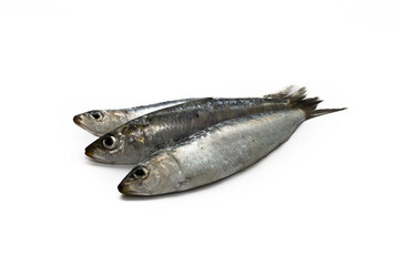 Three fresh sardines on a perfect white isolated background.