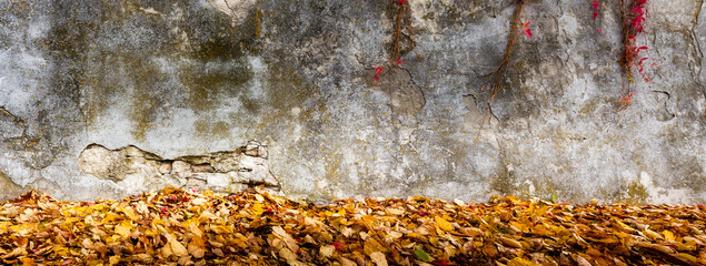  Naturalne tło opadających żółtych i pomarańczowych jesiennych liści z teksturą starej pionowej, postarzanej ulicznej ściany w jesiennym świetle października. Panorama, tapeta, obraz.